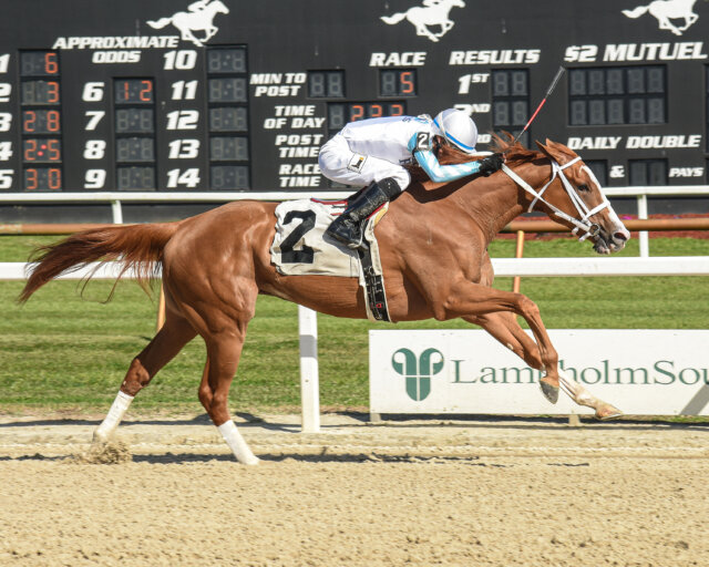 Power Squeeze wins the Suncoast S. at Tampa Bay