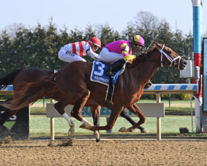 Speed Runner wins at Gulfstream Park