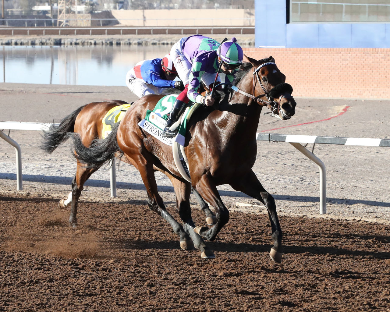 Kentucky Derby Horse Profile: Stronghold | News | Kentucky Derby