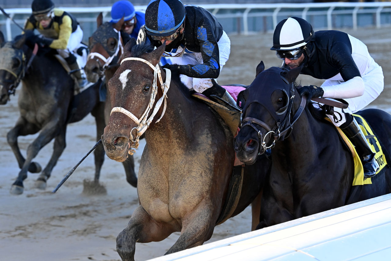 Uncle Heavy wins Withers