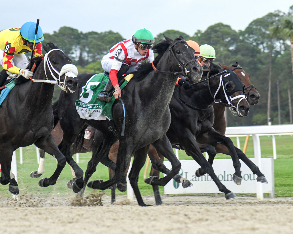 Takeaways from 2025 Tampa Bay Derby News Kentucky Derby