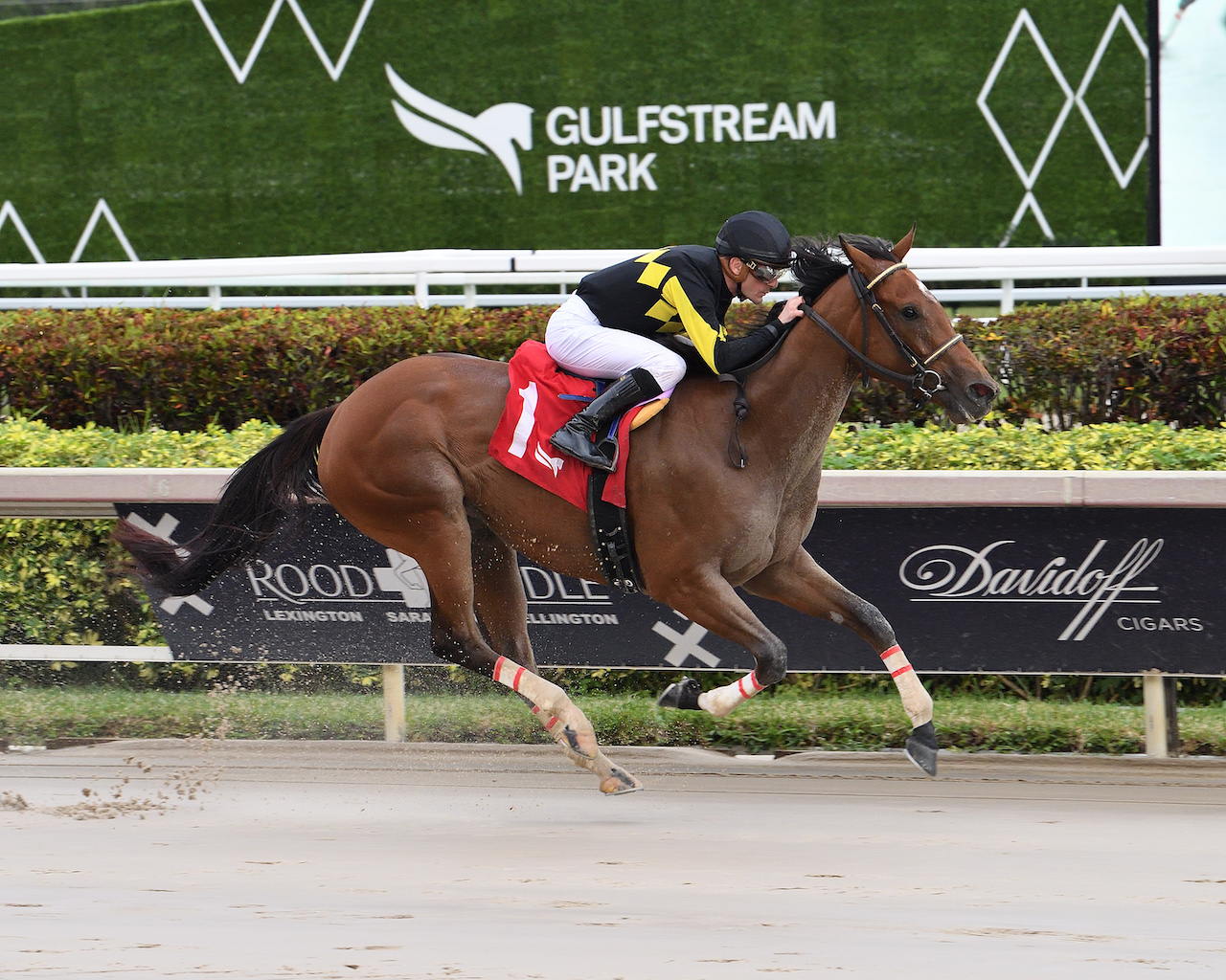 Into Champagne wins the Glitter Woman
