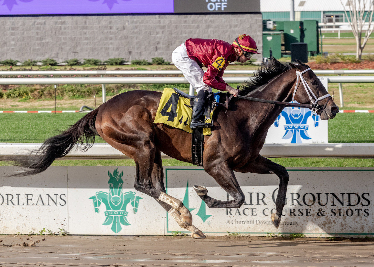 Just a Touch | Horses | Kentucky Derby