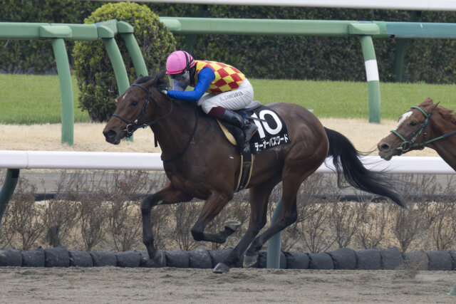 T O Password(JPN)　with jockey Katsuma Sameshima wins, Fukuryu Stakes, Nakayama Racecourse, Japan 3.23.2024 Japan road to kentucky derby.