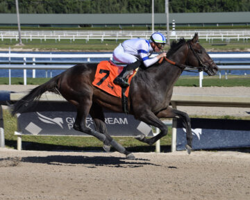 Tuscan Gold breaking his maiden at Gulfstream Park