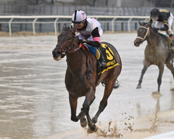 Jody's Pride wins The Busher at Aqueduct