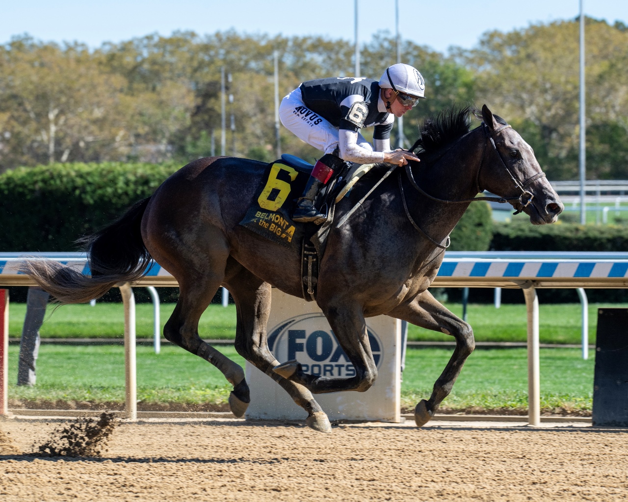 Pandagate (Photo by Chelsea Durand/Coglianese Photos)