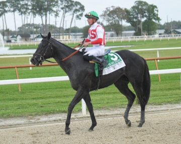Tampa Bay Derby hero Domestic Product