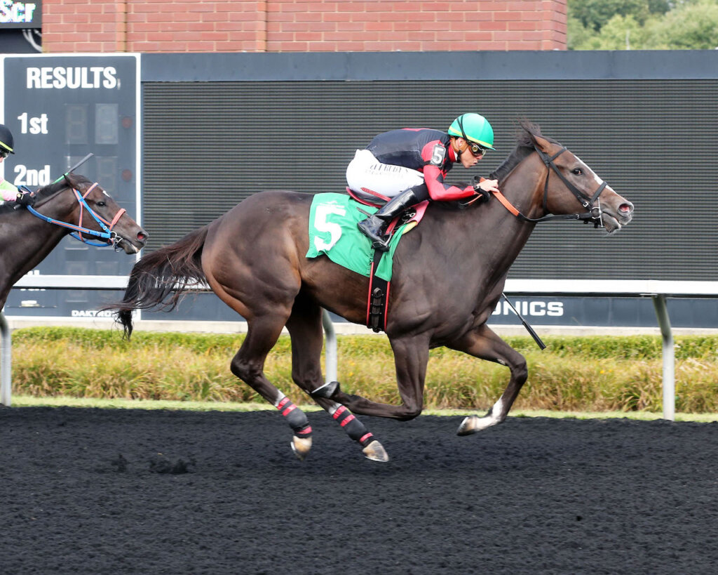 Study Guide 2024 Aristides Stakes News Kentucky Derby