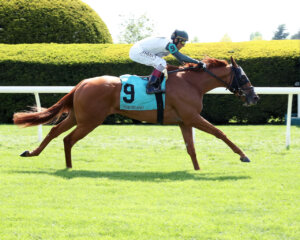 Holy Foley wins at Keeneland
