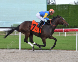 Sand and Sea wins the Orange Blossom