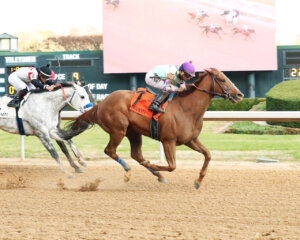 Tejano Twist wins at Oaklawn Park