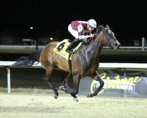 Tower Bridge wins at Turfway Park