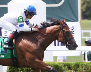 Vergara wins the Aristocrat Ladies Marathon (G3)