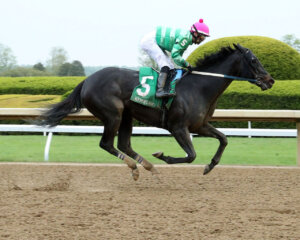 Royal Spa wins at Keeneland 