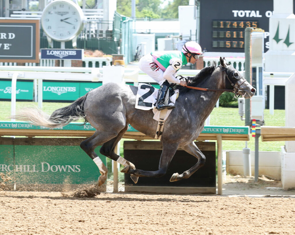Study Guide 2024 Jim Dandy Stakes News Kentucky Derby