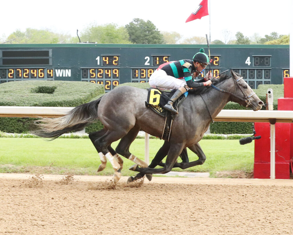 Study Guide 2024 Jim Dandy Stakes News Kentucky Derby