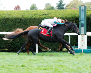 Nineeleventurbo wins at Keeneland 