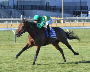 Integration winning the Hill Prince (G2) at Aqueduct (Photo by Coglianese Photos/Chelsea Durand)