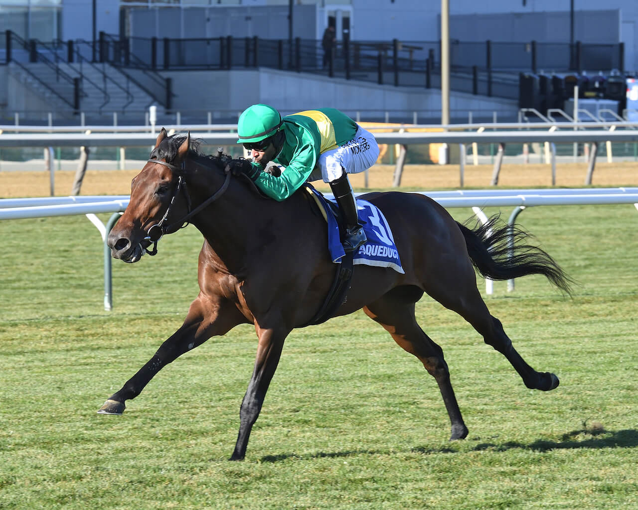Integration winning the Hill Prince (G2) at Aqueduct (Photo by Coglianese Photos/Chelsea Durand)