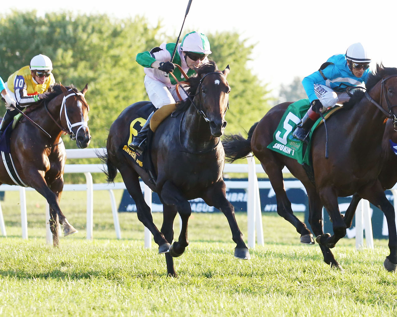 Study Guide 2024 Arlington Million News Kentucky Derby