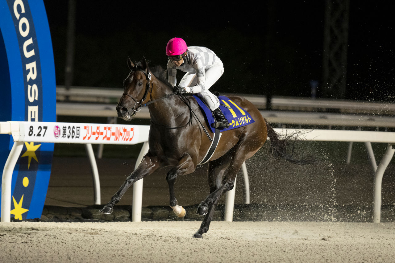Awesome Result stays unbeaten in the Breeders' Gold Cup at Mombetsu