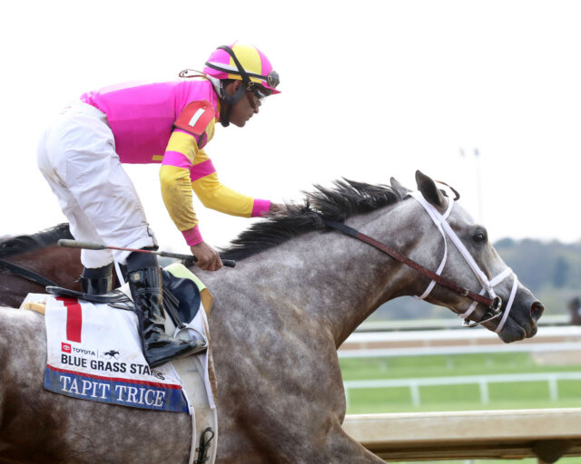Talpit Raced Study Guide: 2024 Jockey Club Gold Cup | News | Kentucky Derby