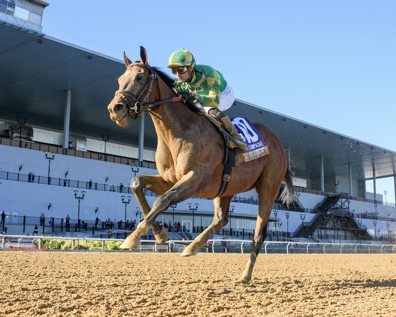 Chancer McPatrick wins the Champagne (G1) at Aqueduct.