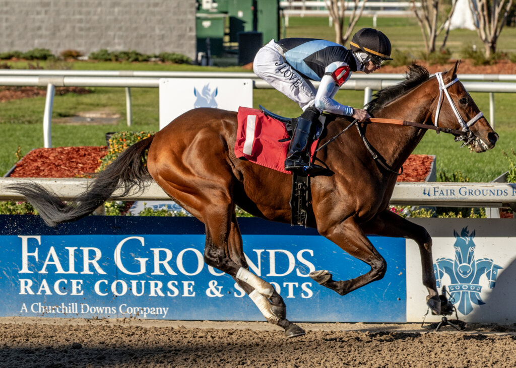 競馬Carrot Club Yearlings 2025 2025 Yearlings – Jayport Farms
