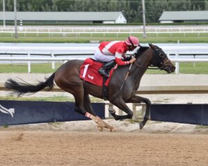 Burnham Square wins at Gulfstream Park.