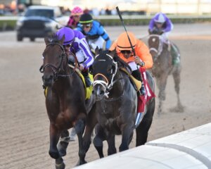 Guns Loaded wins the Mucho Macho Man S. at Gulfstream Park.
