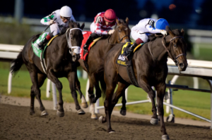 He's Not Joking wins the Grey S. at Woodbine. 