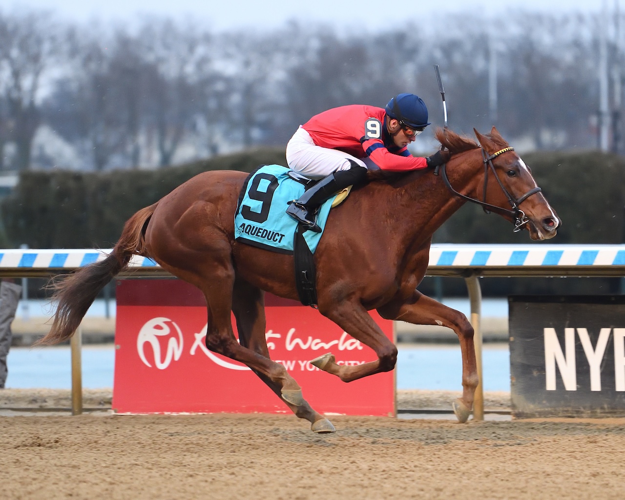 Running Away wins the Busanda at Aqueduct.