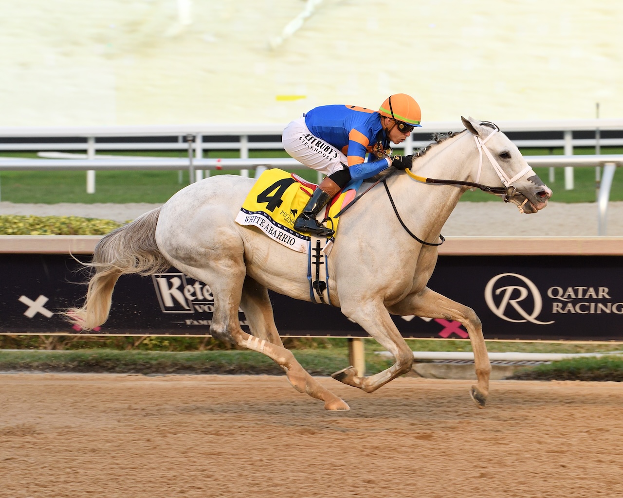 White Abarrio wins the Pegasus World Cup Invitational at Gulfstream Park.
