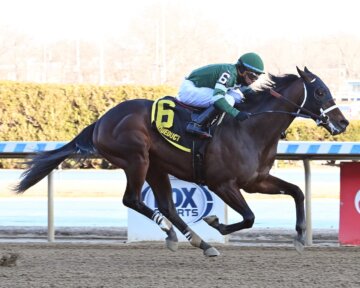 Captain Cook wins the Withers at Aqueduct.