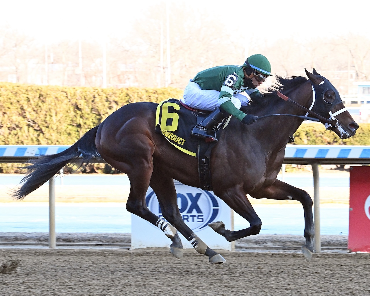 Captain Cook wins the Withers at Aqueduct.