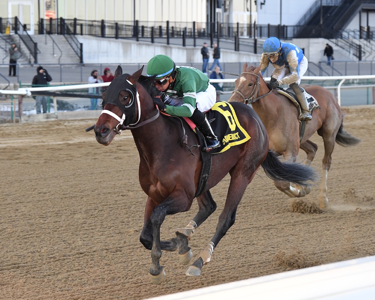 Captain Cook wins the Withers at Aqueduct.