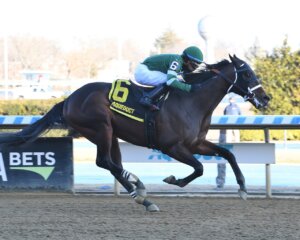 Captain Cook wins the Withers at Aqueduct.