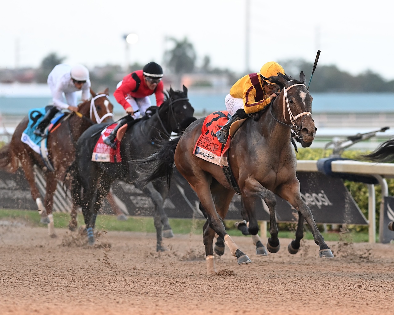 Eclatant wins the Forward Gal at Gulfstream Park.