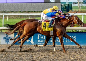 Hall Of Fame wins the Mineshaft Stakes (G3) at Fair Grounds.