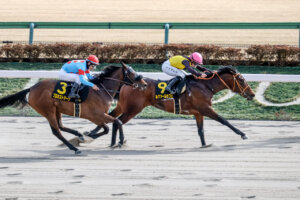 ビジネス・経済 HIT WIN VICTORY II OF HORSE RACE HitShow.jpg