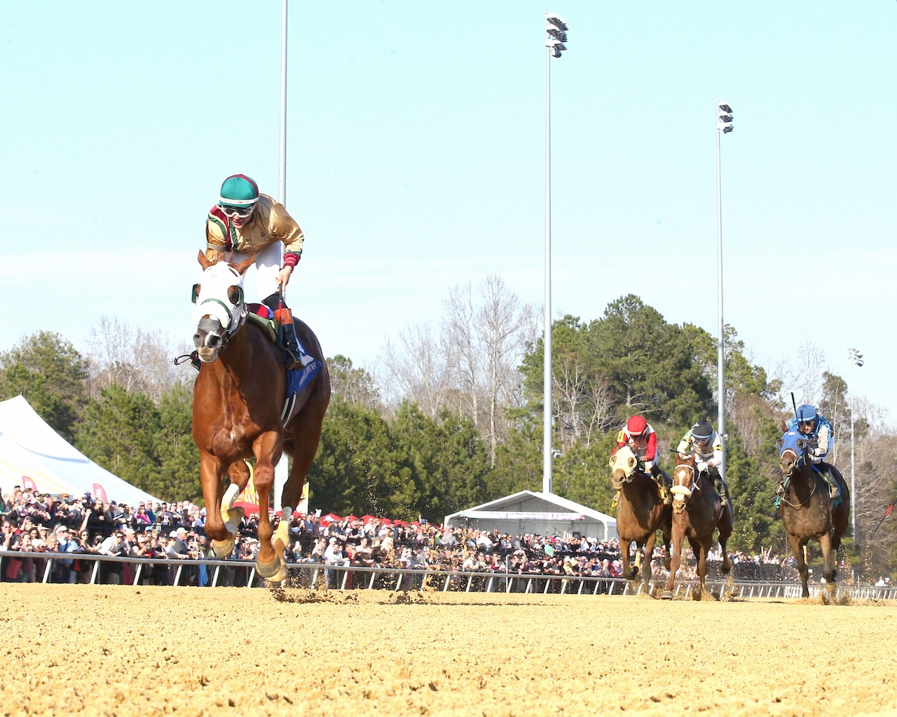 American Promise wins the Virginia Derby at Colonial Downs.