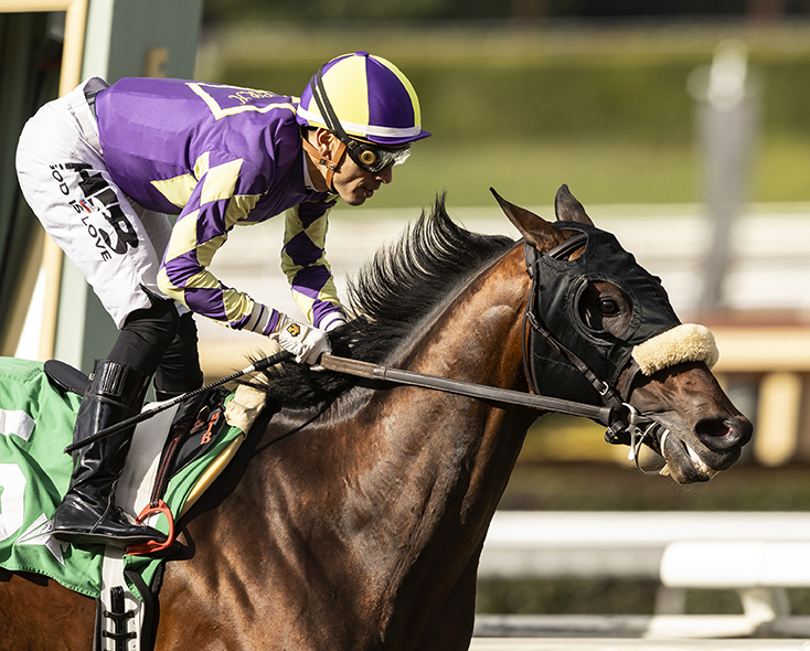 Baeza wins at Santa Anita.