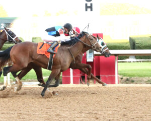Bestfriend Rocket (#2) wins against First Division (#7) at Oaklawn Park. 