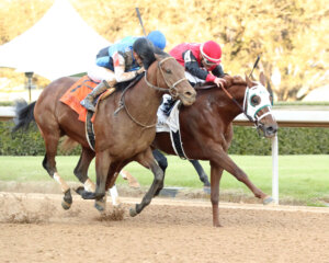 Bestfriend Rocket (#2) wins against First Resort (#7) at Oaklawn Park. 
