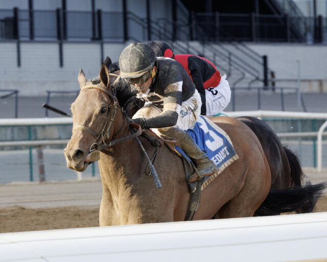 Drexel Hill wins the Busher at Aqueduct.