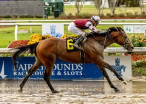 Hypnus wins at Fair Grounds.