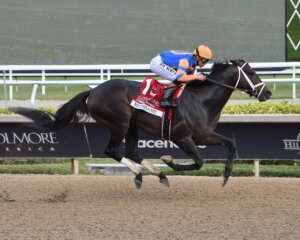 Mindframe wins the Gulfstream Park Mile at Gulfstream Park.