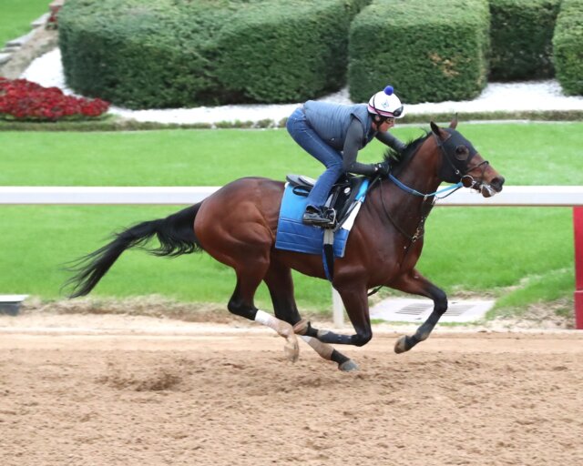 Publisher gets a work in a Oaklawn Park.