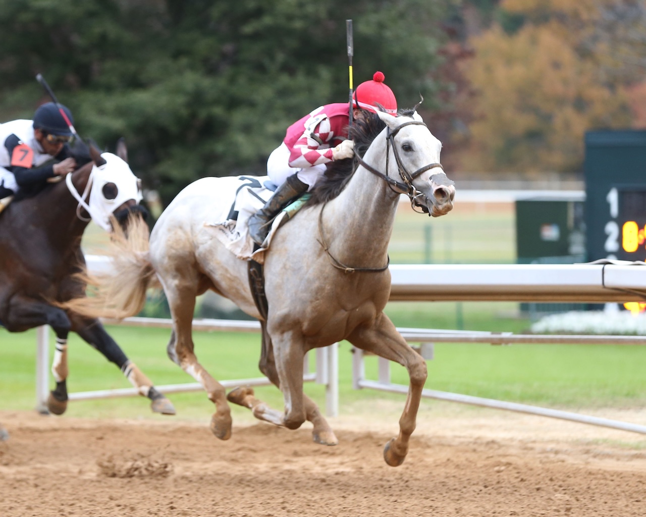 Sandman wins at Oaklawn Park.